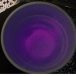 jordan_savage313
