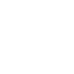 Wings of the Heavenly Phoenix