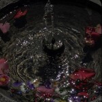 ☾˚*･ 𝘪 𝘶𝘴𝘦𝘥