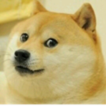 doge family bloodline