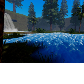 Forest (SHOWCASE)