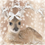 fawn diary