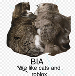 Benji's intelligence agency