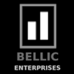 Bellic & Bellic Enterprises