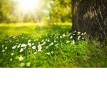 NATURE!!!!!!