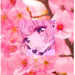 BLXSSOMS_ D R E A M S。