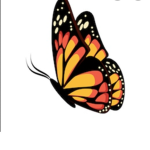 Butterfly Squad For Lifetime