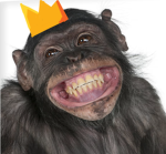 King Monkey's Home