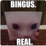 BINGUS ONLY