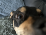 IMG_0256.jpeg