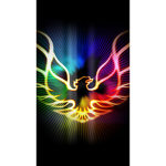 The Phenix community