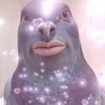 poopkies