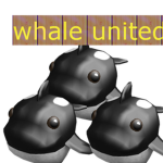 Whale united