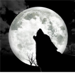 The Beast Within