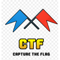 Capture The Flag [NEW]