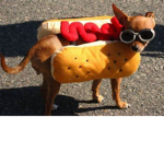 hotdog fams uwu