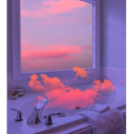 Roses are aesthetic