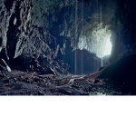 CaveWings