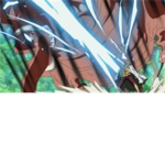 Haki Users