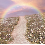 Aestheic Rainbows~!