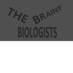 The Brainy Biologists