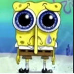 Sad sponge bob