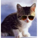 lolfriend
