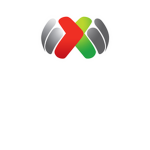 Liga MX Fan Store