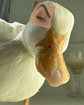 prttygala