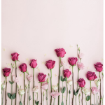 Lia’s Roses