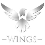 The official group Team Wing