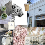 • claire’s clothes •