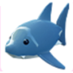 shark groop
