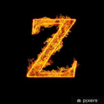 The Zee. Fan Club