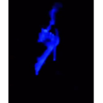 CursedSkyLord