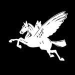 Pegasus Private Security