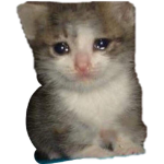 Sᴛʏʟᴇs Fᴏʀᴇᴠᴇᴇ