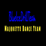 BlueIceDrillTeam
