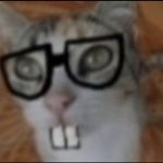 Cool boooooooooooooy
