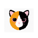 creative cats club