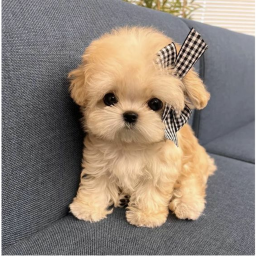 。°˖ ʚ ♡ ɞ 。°