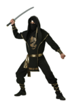 ninjaz of awesomeness