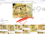 The cool doge fan club!