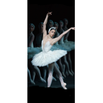 The shimmer dancer