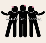 Rosie’s DTI Farming
