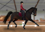 EVENTING SHOWS