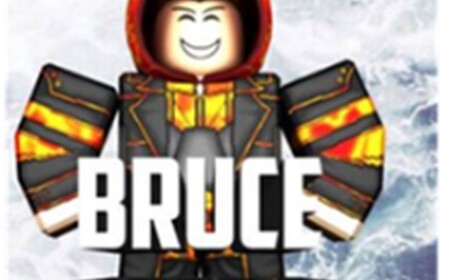 Bruce Hotels