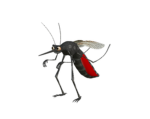 ich muss nelli UNBEDINGT robux geben