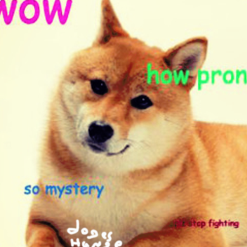 Doge's Hang!!!
