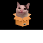 Miau Box